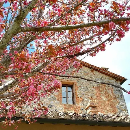 La Caminata Monteriggioni
